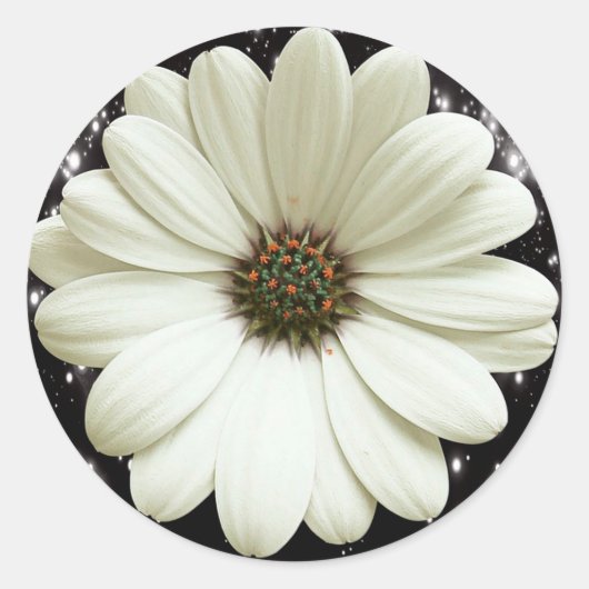 Sticker Rond Baise blanche (Devant)