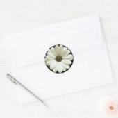 Sticker Rond Baise blanche (Enveloppe)