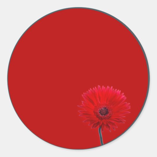 Sticker Rond Baise peinte (Devant)