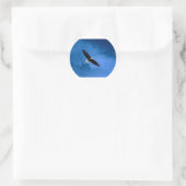 Sticker Rond Bald-Eagle-Alaska (Sac)