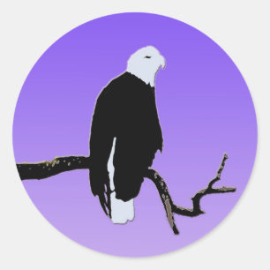 Sticker Rond Bald Eagle at Sunset - Art original de la faune