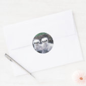Sticker Rond Bald Eagle Chicks (Enveloppe)