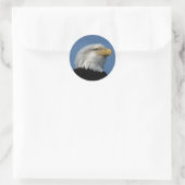 STICKER ROND BALD EAGLE-STICKER (Sac)