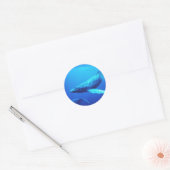 Sticker Rond Baleine à bosse (Enveloppe)