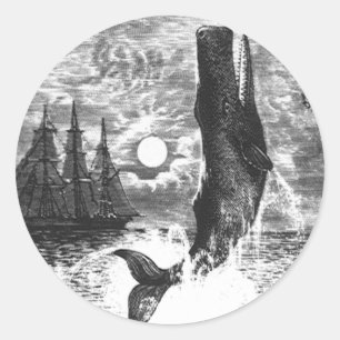 Sticker Rond Baleine à tête carrée faisant une cabriole, Animau