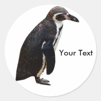 Sticker Rond Balise Nom de l'autocollant de pingouin blanc et n