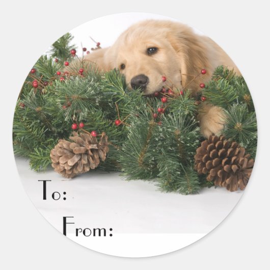 Sticker Rond Balises cadeaux de chien de Noël (Devant)