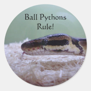 Sticker Rond Ball Pythons !