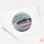 Sticker Rond Ball Pythons ! (Enveloppe)