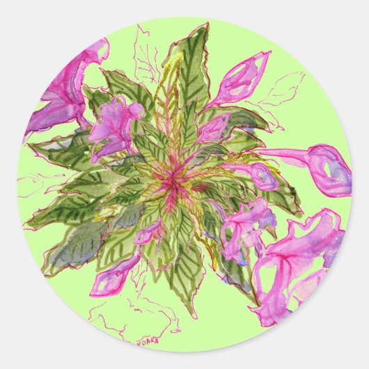 Sticker Rond Balsam Bouquet (Devant)