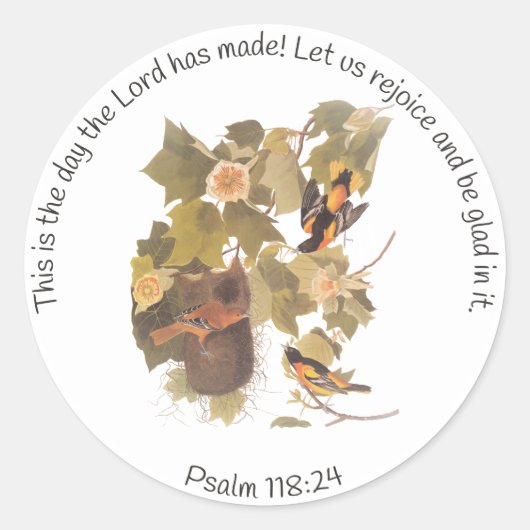 Sticker Rond Baltimore Oiseaux d'Audubon à l'oriole dans le peu (Devant)