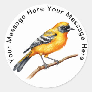 Sticker Rond Baltimore Oriole