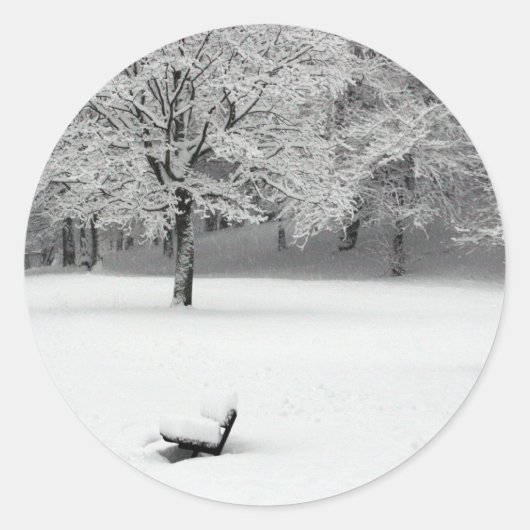 Sticker Rond Banc de neige et arbres (Devant)