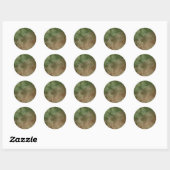 Sticker Rond Bar Mitzvah Marbré Brown et vert (Feuille)
