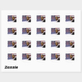 Sticker Rond Barack Obama a choisi (Feuille)