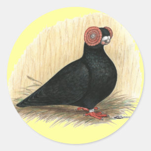 Sticker Rond Barb Pigeon Standard Noir