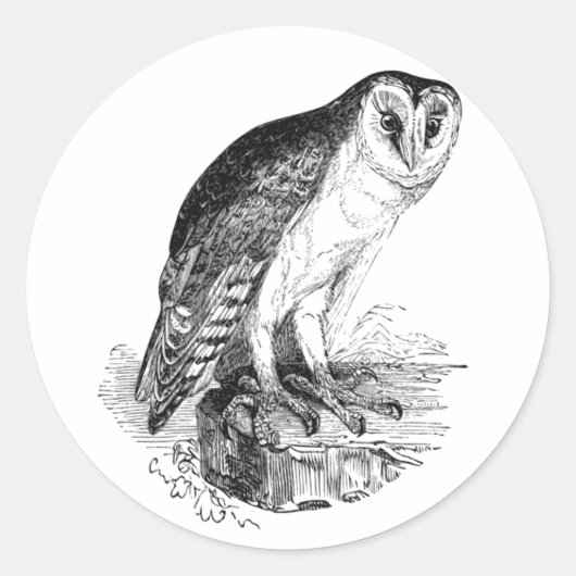Sticker Rond Barn Owl (Devant)