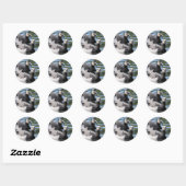 Sticker Rond Barnacle Duet (Feuille)