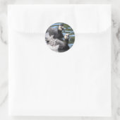 Sticker Rond Barnacle Duet (Sac)