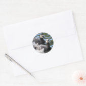 Sticker Rond Barnacle Duet (Enveloppe)