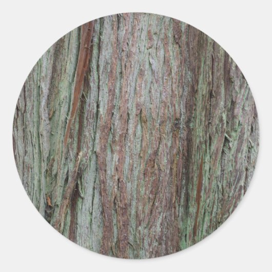 Sticker Rond Barre d'arbre (Devant)