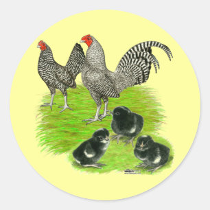 Sticker Rond Barred Bantam Family