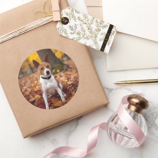 Sticker Rond Basenji en automne Feuilles automne Inspiration (Cadeaux)