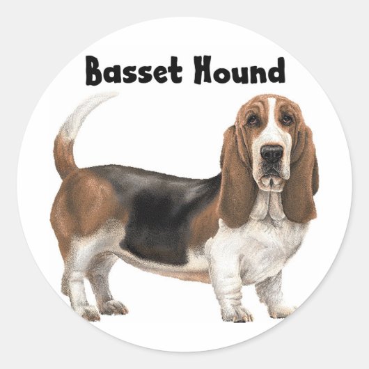 Sticker Rond Basset Hound (Devant)