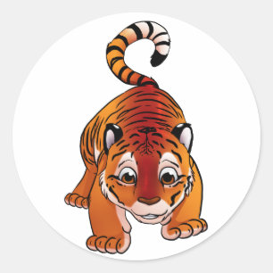 Sticker Rond Bassin de tigre orange