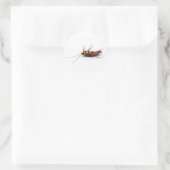 Sticker Rond Bateau mort (Sac)