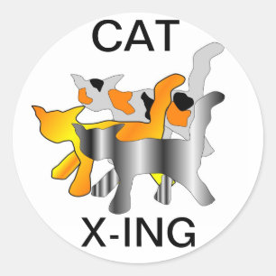 STICKER ROND BÂTIMENTS CAT X-ING