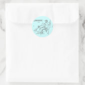 Sticker Rond Bâton Aquarius (Sac)