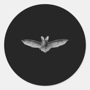 Sticker Rond Bats Illustration scientifique Dessin Biologie Art