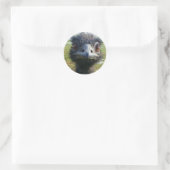 Sticker Rond Beady Eyes EMU (Sac)