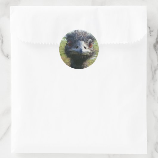 Sticker Rond Beady Eyes EMU (Sac)
