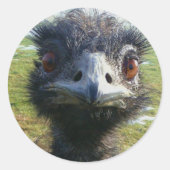 Sticker Rond Beady Eyes EMU (Devant)