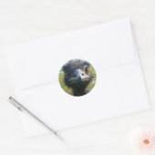 Sticker Rond Beady Eyes EMU (Enveloppe)
