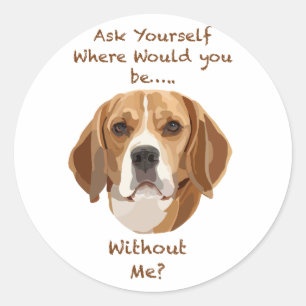 Sticker Rond Beagle Chien main tiré Art numérique adorable