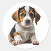 Sticker Rond Beagle chiot (Devant)