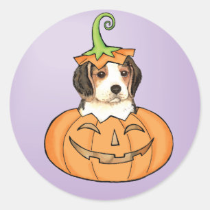 Sticker Rond Beagle d'Halloween