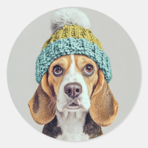 Sticker Rond Beagle douillet dans un Casquette Knit d'hiver