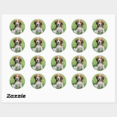 Sticker Rond Beagle Puppy (Feuille)