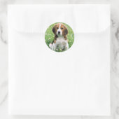 Sticker Rond Beagle Puppy (Sac)