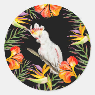 Sticker Rond Beau aquarelle cacatau perroquet dessin à la main