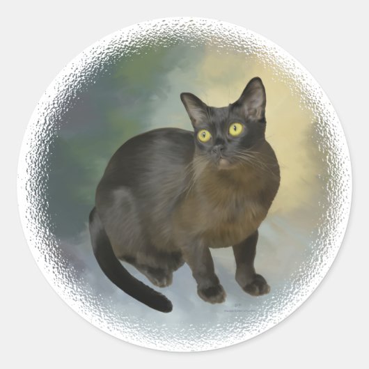 Sticker Rond Beau birman (Devant)