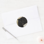 Sticker Rond Beau chat noir (Enveloppe)