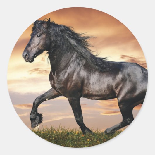 Sticker Rond Beau Cheval Noir (Devant)
