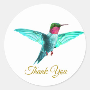 Sticker Rond Beau colibri coloré et Merci doré