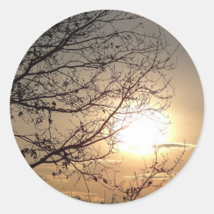 Sticker Rond Beau coucher de soleil avec rampes