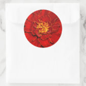 Sticker Rond Beau Durango Red Marigold (Sac)